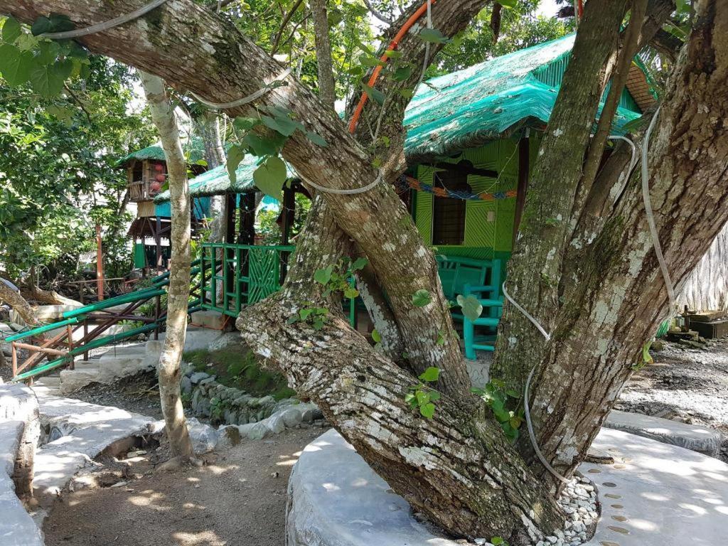 Nature Green Forest Resort Балер Екстер'єр фото